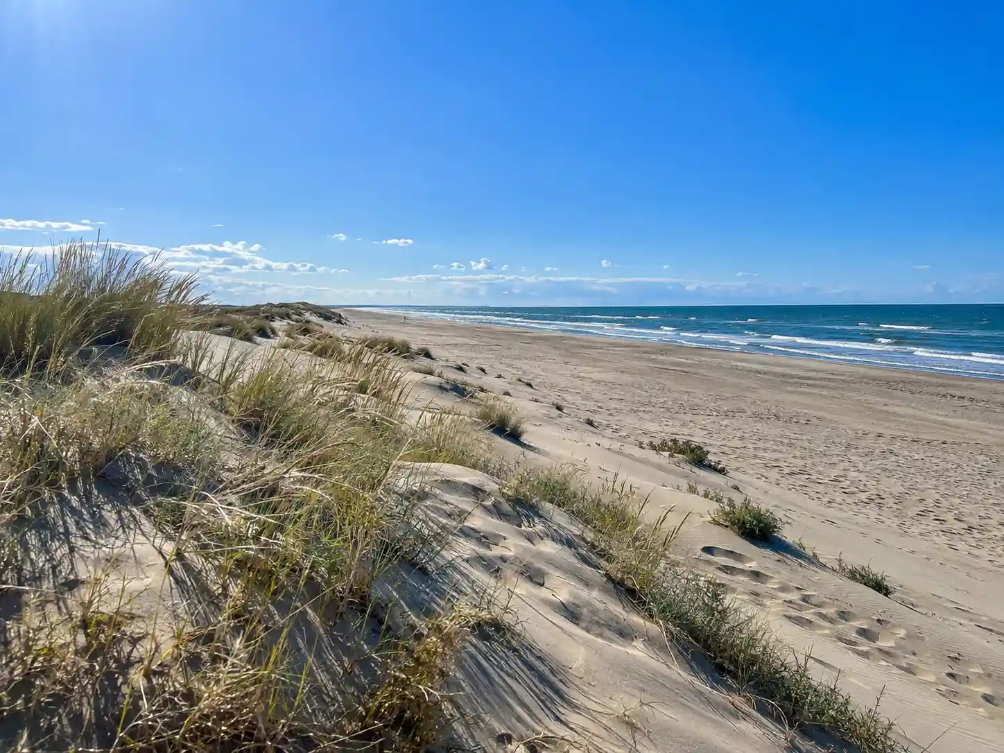 Illustration des dunes et de la mer à l’Espiguette